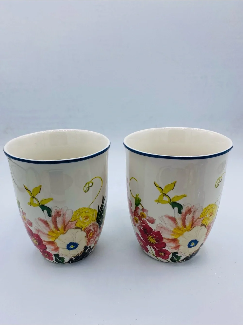Pottery Barn China Floral Rim Collection Set of 2 Discontinued